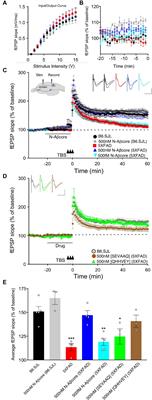 The Neuroprotective Beta Amyloid Hexapeptide Core Reverses Deficits in Synaptic Plasticity in the 5xFAD APP/PS1 Mouse Model